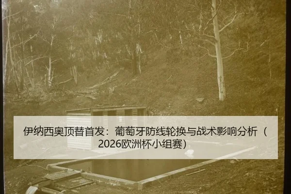 伊纳西奥顶替首发：葡萄牙防线轮换与战术影响分析（2026欧洲杯小组赛）